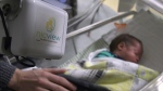 NIC View lets parents see their babies in the Neonatal intensive Care Unit 24/7 on video. (Dave Mitchell/CTV News Edmonton)