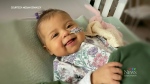 Sask. baby in need of life-saving organ donation