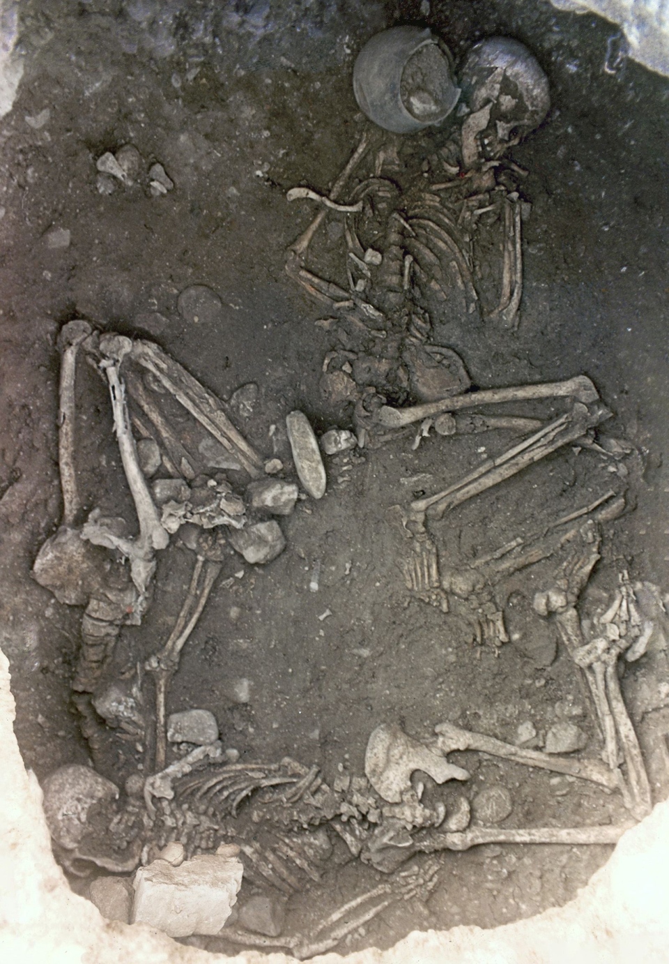 Ancient skeletons unearthed in France