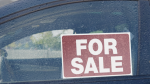 A For Sale sign in the window of a vehicle. (CTV News/Steve Wishart)