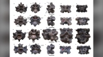 This image provided by researchers in April 2024 shows views of some of the vertebrae of Vasuki indicus. (Sunil Bajpai, Debajit Datta, Poonam Verma via AP)