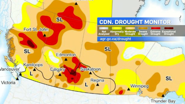 Long-term drought in southern Alberta