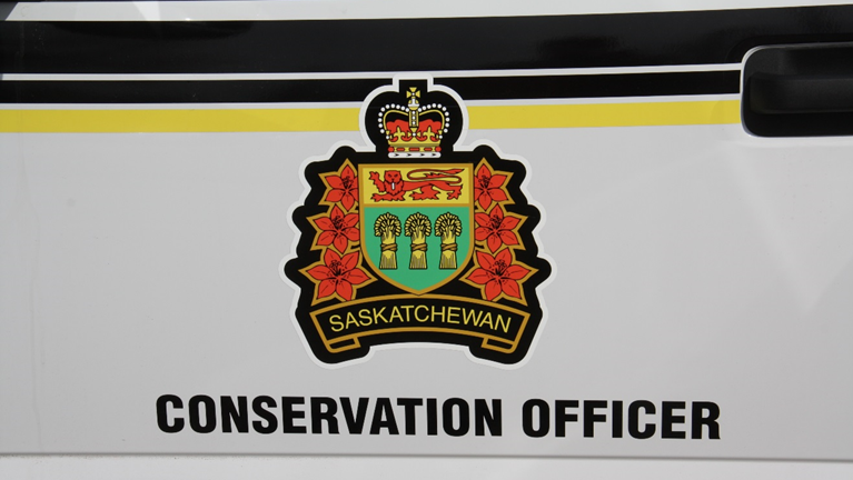 Conservation Officers 