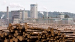 Logs are piled up at West Fraser Timber in Quesnel, B.C., on Tuesday, April 21, 2009. (THE CANADIAN PRESS/Jonathan Hayward)