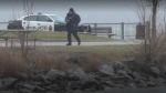 Hamilton police search Pier 4 Park after a body was discovered there on April 2, 2024. 