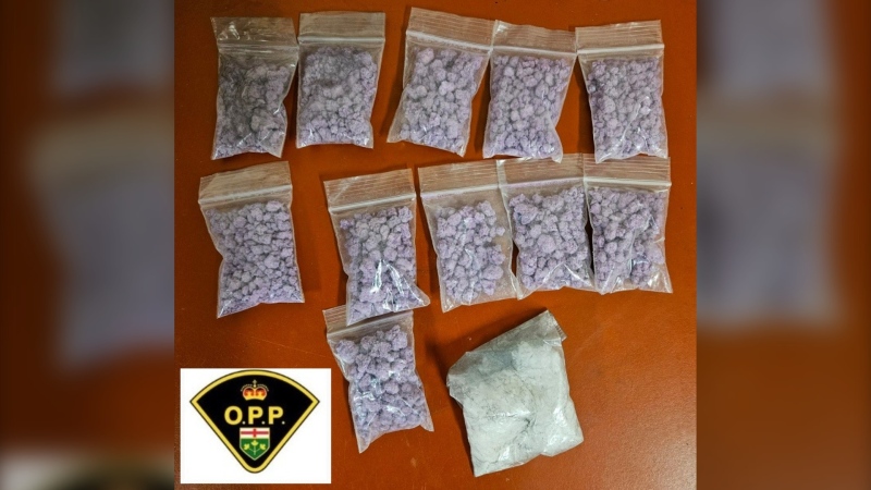 $80K in fentanyl, crystal meth seized from McCamus Avenue home. April 18, 2024 (Ontario Provincial Police)