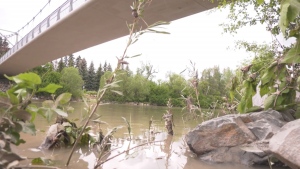 The City of Calgary will be sharing details on its drought preparedness plan ahead of what's expected to be a very dry summer.