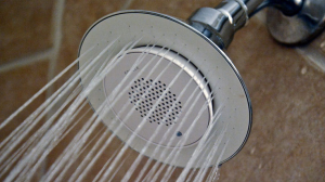 File Image of a shower head with water running. (AP /Ron Harris)