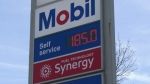 A sign at a gas station in N.S. shows prices at 185 cents per litre. (CTV/Stephanie Tsicos) 