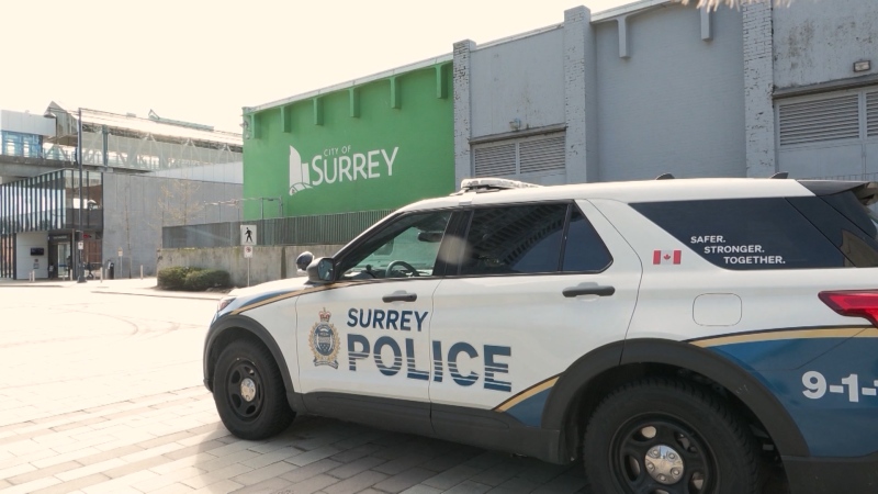 Calls for clarity in Surrey police transition