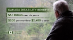 CTV National News: New disability benefit