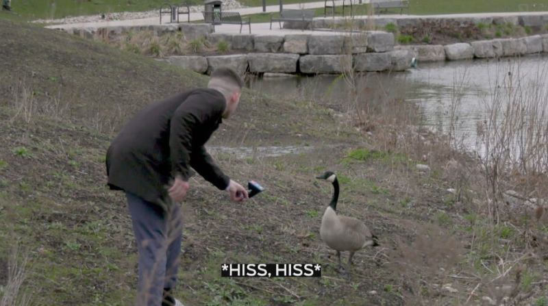 Spencer Turcotte attempts to interview a goose on April 18, 2024. 