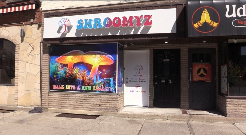 Shroomyz has opened an illegal magic mushroom shop in downtown London, Ont. on April 22, 2024 (Brent Lale/CTV News London)