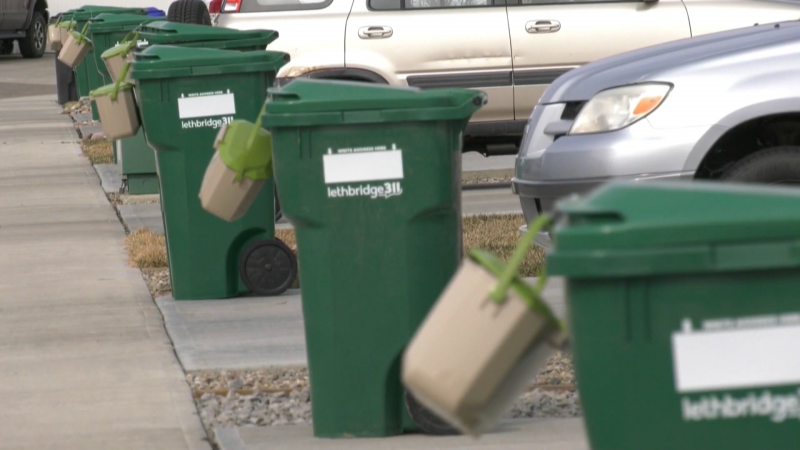 Lethbridge's green cart curbside organics waste collection program has passed the one-year milestone. (CTV News) 