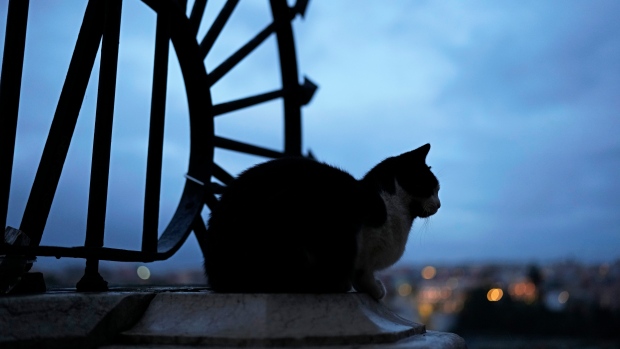 A cat sits on a wall overlooking downtown Lisbon, Portugal, as night falls Monday, March 25, 2024. (AP Photo/Armando Franca)