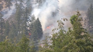 Wildfire season has already begun in Alberta. (CTV News) 