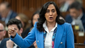 Treasury Board President Anita Anand rises during Question Period, in Ottawa, Monday, April 15, 2024. THE CANADIAN PRESS/Adrian Wyld