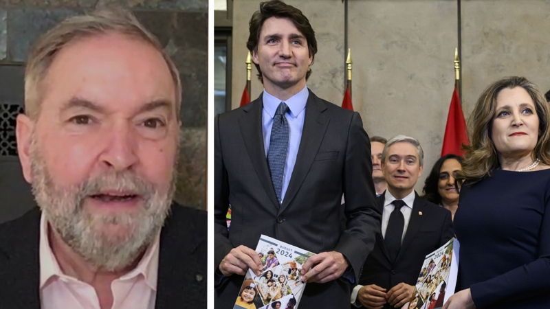 Tom Mulcair combo picture with feds