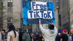 A man carries a Free TikTok sign in front of the courthouse where the hush-money trial of Donald Trump got underway Monday, April 15, 2024, in New York. (Ted Shaffrey / AP Photo)