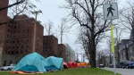 Tents at the designated encampment site along University Avenue in Halifax. (Source: Jesse Thomas/CTV News Atlantic)