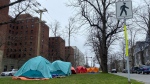 Tents are pictured at a designated encampment site along University Avenue in Halifax. (Jesse Thomas/CTV Atlantic)