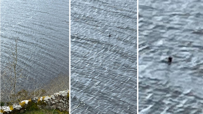 Parry Malm and Shannon Wiseman captured these images of what could be the famed Loch Ness Monster in Scotland. (Parry Malm and Shannon Wiseman / The Canadian Press)