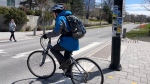 The National Capital Commission is considering putting bike lanes on Colonel By Drive and the Queen Elizabeth Driveway. (Leah Larocque/CTV News Ottawa)