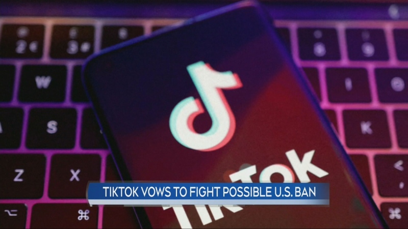 Possible TikTok ban in the U.S. 