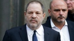 Lawyer reacts to Weinstein appeal decision 