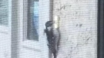 Woodpecker won't stop ringing doorbell