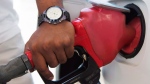 A person pumps fuel in Toronto on Wednesday, September 12, 2012. THE CANADIAN PRESS/Michelle Siu