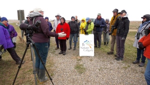 Nature Calgary hosts a gathering at Frank Lake for the global City Nature Challenge taking place April 26th to the 29th