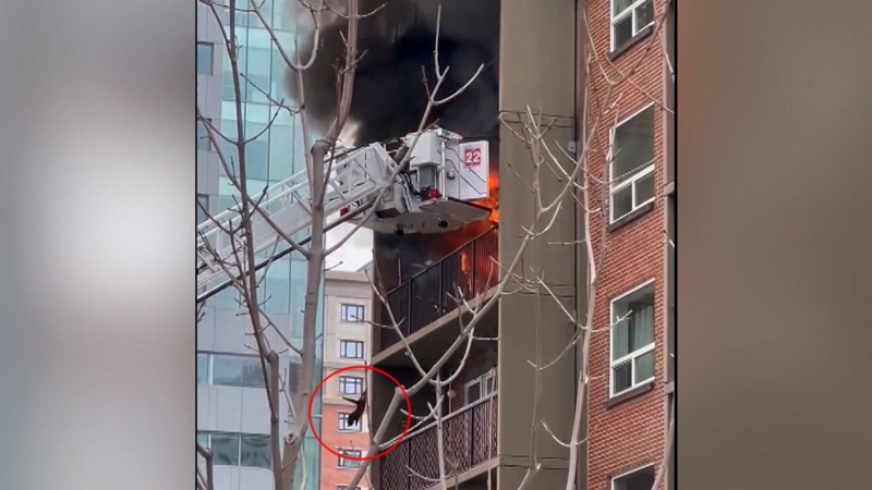 A cat was critically injured after jumping from the balcony of a burning Edmonton apartment on April 25, 2024. (Credit: Matt Gordon)