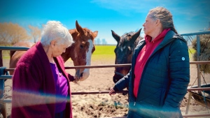Judith Johnson (left) and Cindy Johnson stand with horses on April 26, 2024. (CTV News/Spencer Turcotte)