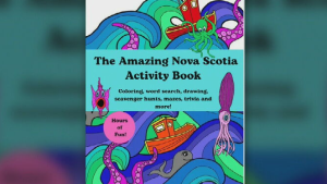 Nova Scotia artist Susan Penney released “The Amazing Nova Scotia Activity Book” highlighting love for the province. (Courtesy: Instagram/browneyedsusansflowers)