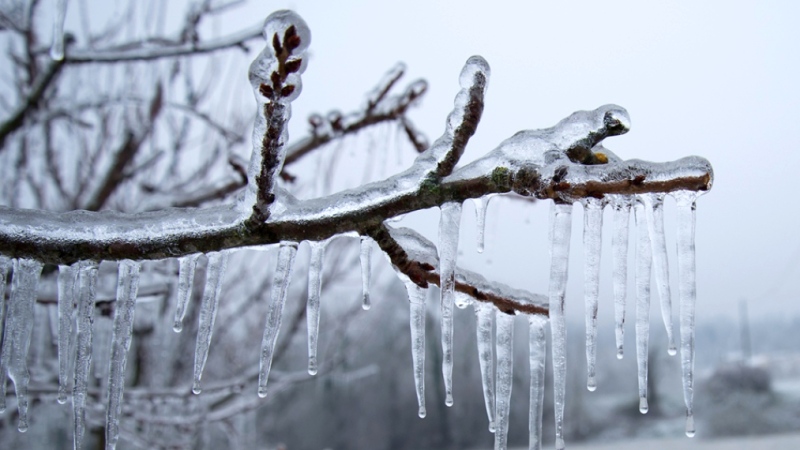 An undated file photo of ice formed from freezing rain. (CTV News)
