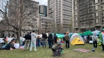 More than 30 tents have been set up at the lower field on the McGill University campus on Sunday, April 28, 2024. (Laurence Brisson Dubreuil
/CTV News)