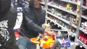 Thieves steal chainsaws from hardware store