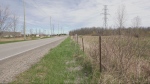 The City of Waterloo believes around 730 affordable housing units could be built on this 25-acres plot of land at 2025 University Ave. E. near Rim Park. (Dave Pettitt/CTV Kitchener)