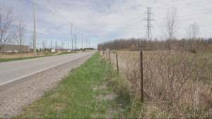 The City of Waterloo believes around 730 affordable housing units could be built on this 25-acres plot of land at 2025 University Ave. E. near Rim Park. (Dave Pettitt/CTV Kitchener)