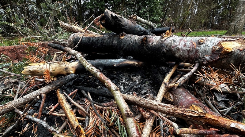 A backyard firepit is shown in this photo. (Jonathan MacInnis/CTV Atlantic)