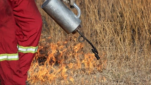 Controlled or prescribed burns are utilized to ensure the health of Saskatchewan's parks and grasslands. (Source: Canadian Prairies Prescribed Fire Exchange/ Angie Li)