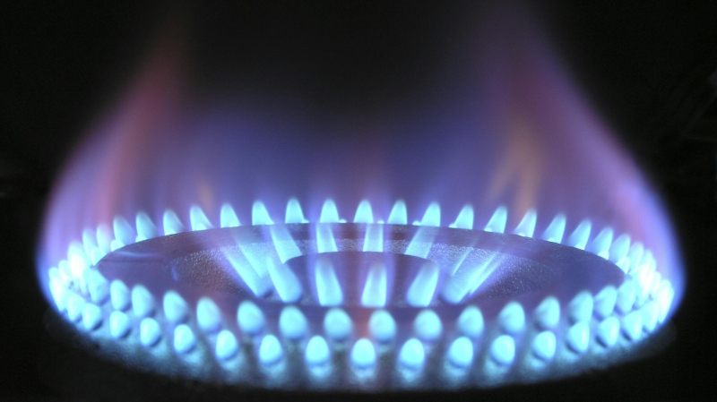 Blue flames emanate from a natural gas stove burner. (Pixabay/Pexels)
