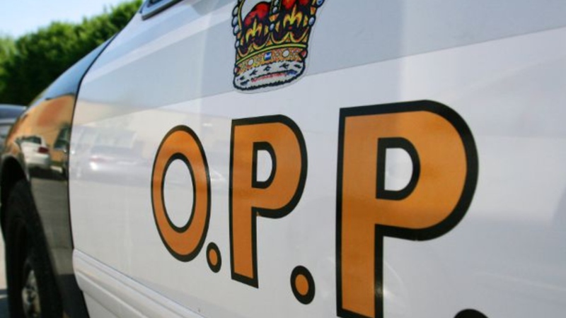 An OPP cruiser is shown in this file image.
