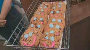 WATCH: Get to know what the Smile Cookie campaign is all about and how the funds raised are put to good use.