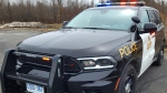 A 20-year-old suspect in Sudbury was arrested last week after trying to escape from police responding to reports of erratic driving. (File)