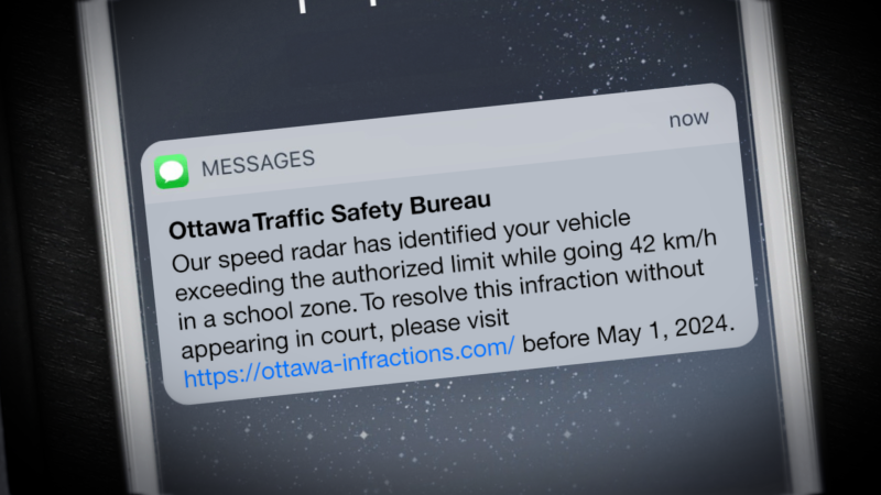 The scam text message contains a link to a fake City of Ottawa webpage, where the user is asked to solve a Captcha security test before being informed of a $20.16 fine. (CTV News Ottawa)