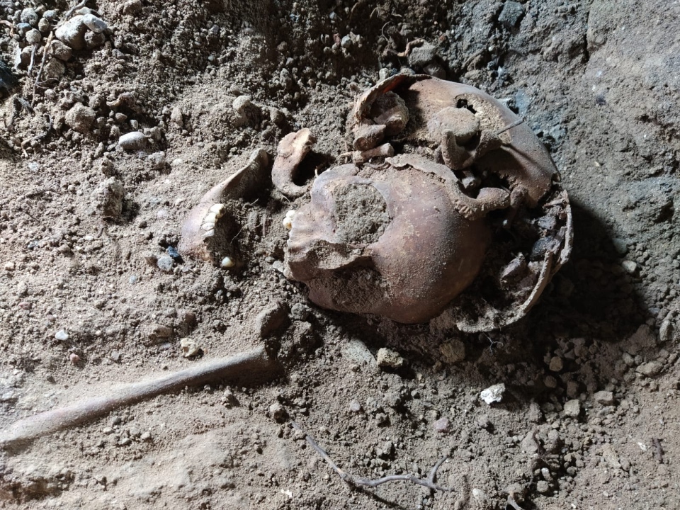 Nazi Wolf's Lair: Human remains discovered