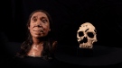 Researchers unearthed the skull used in the reconstruction in 2018. Subsequent analysis revealed it belonged to a Neanderthal woman in her mid-40s. (Jamie Simonds/BBC Studios via CNN Newsource)