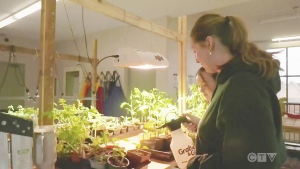 It was an exciting Wednesday morning for staff and students at Lively District Secondary School, with the official unveiling of the school's new horticulture room. (Photo from video)